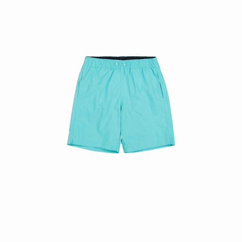 Womens Bathing Costume Champion Blue Water