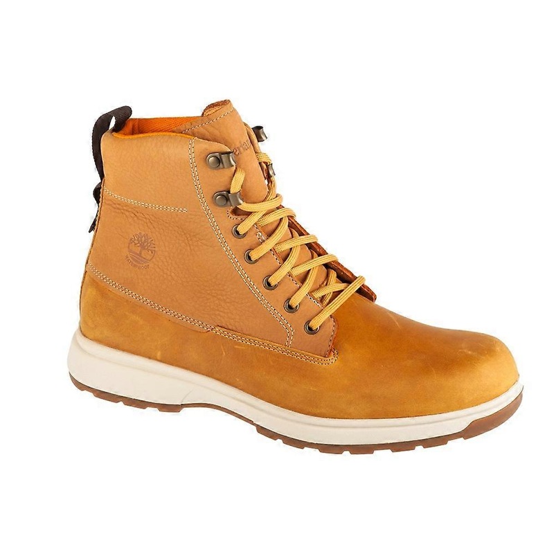 Shoes Timberland Atwells Ave Wp 1A43VN